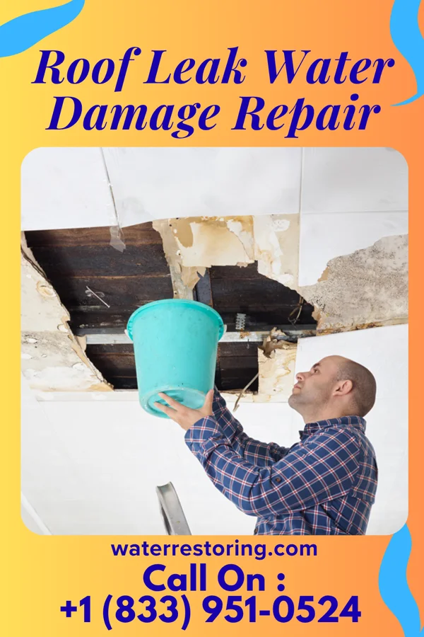 Roof Leak Water Damage Repair in Tracy, MN